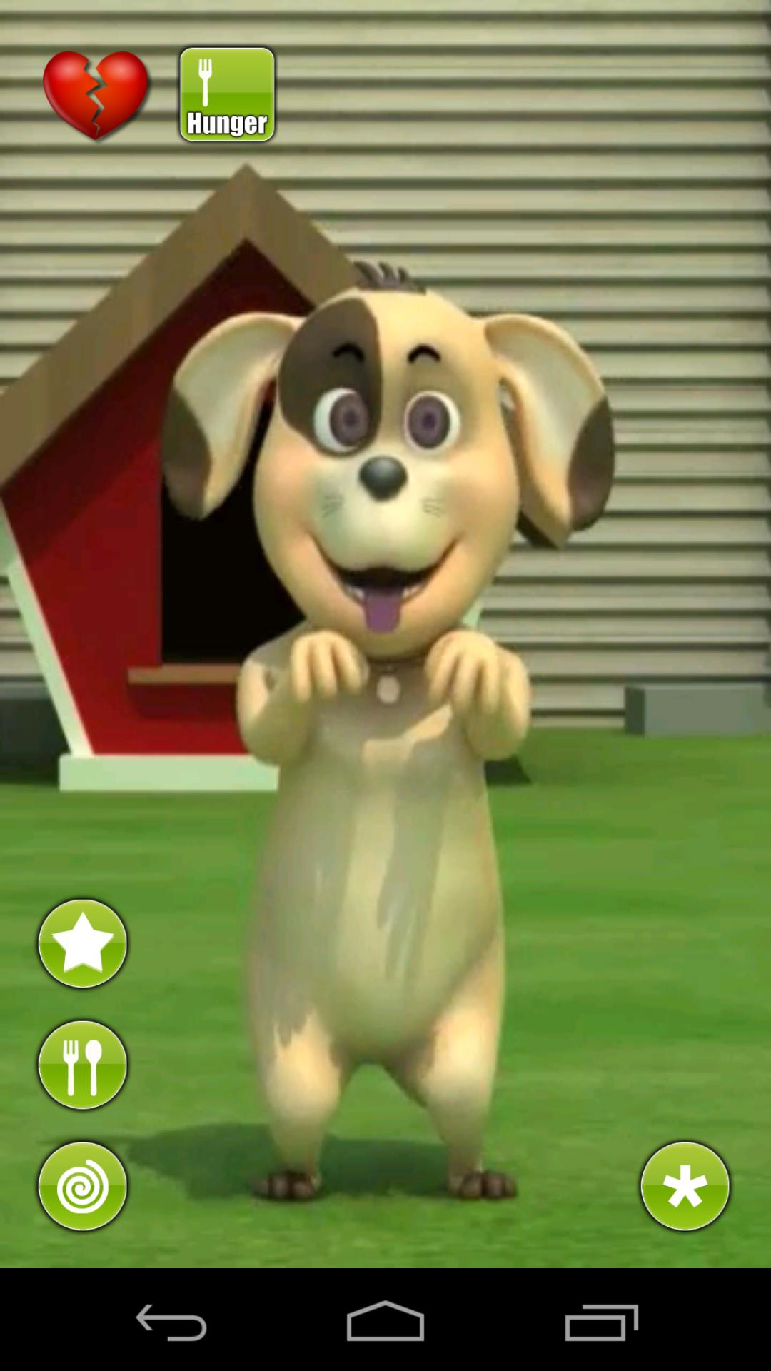 Talking Diddy Dog