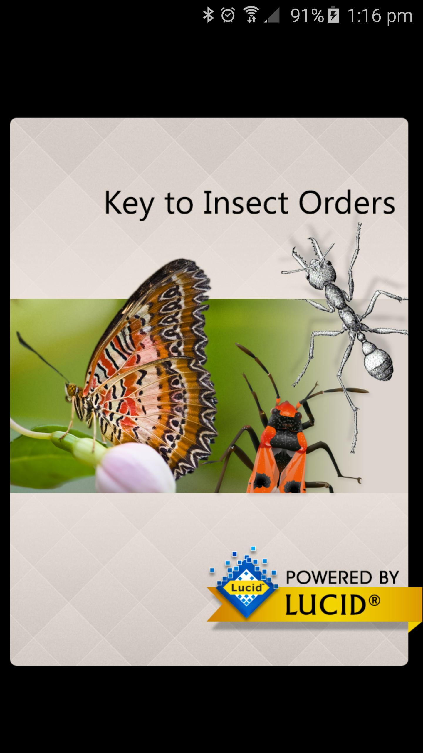 Insect Orders