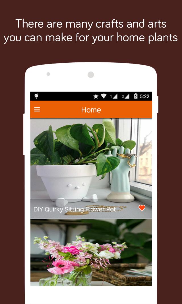 Plants DIY Pots and Crafts