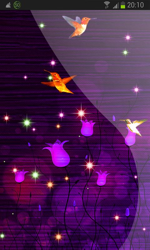 Illinois Summer Tropical Bird