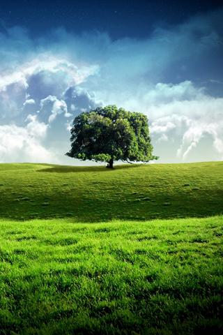 D14m_TestApp_IABv3_SR_04