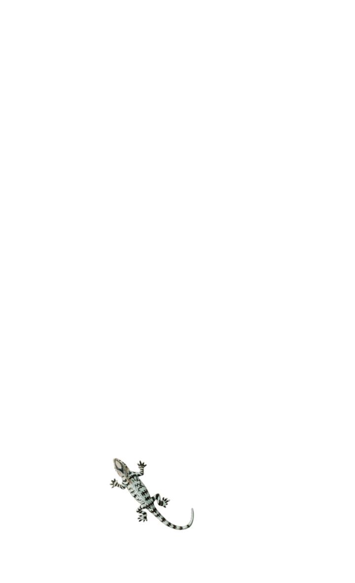 Lizard simulator